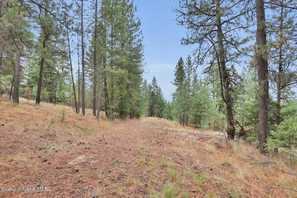 1571 Stone Road Blanchard ID 83804