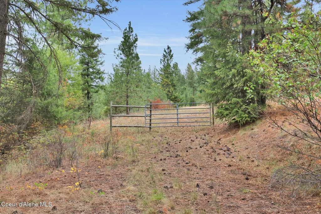 1571 Stone Road Blanchard ID 83804