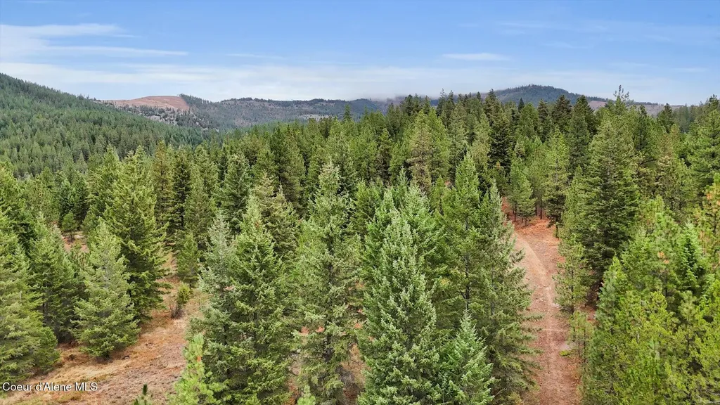 1571 Stone Road Blanchard ID 83804