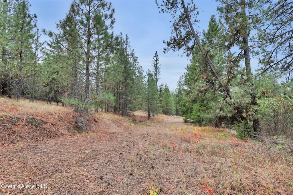 1571 Stone Road Blanchard ID 83804