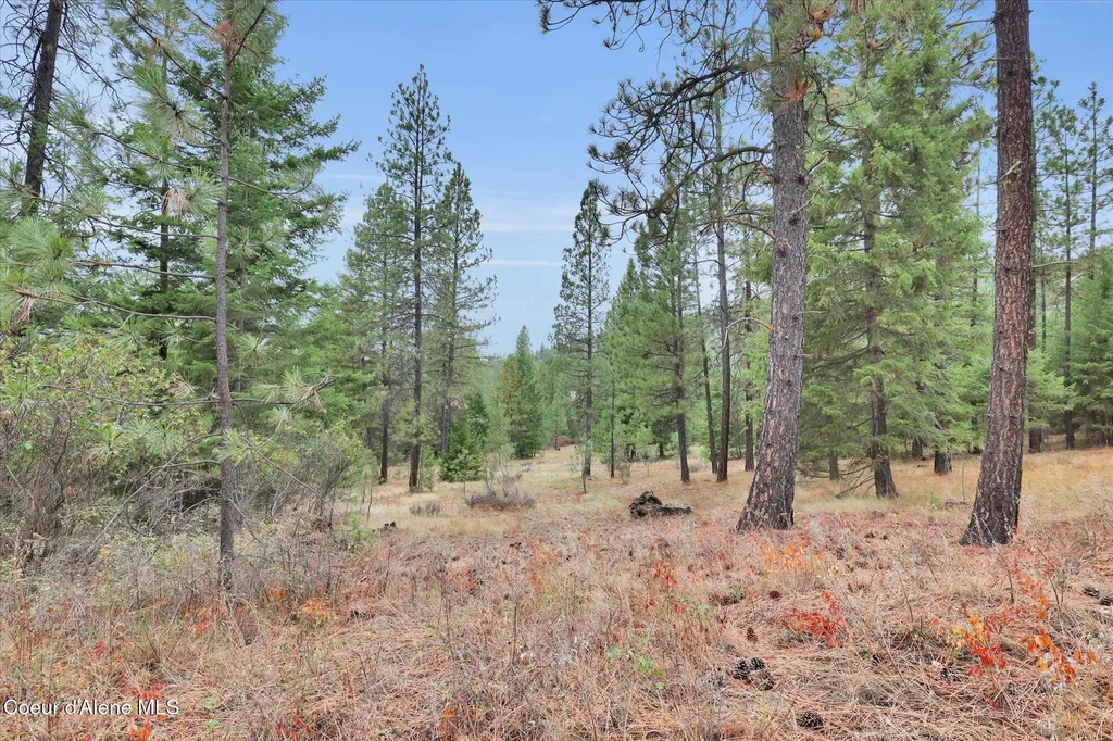 1571 Stone Road Blanchard ID 83804