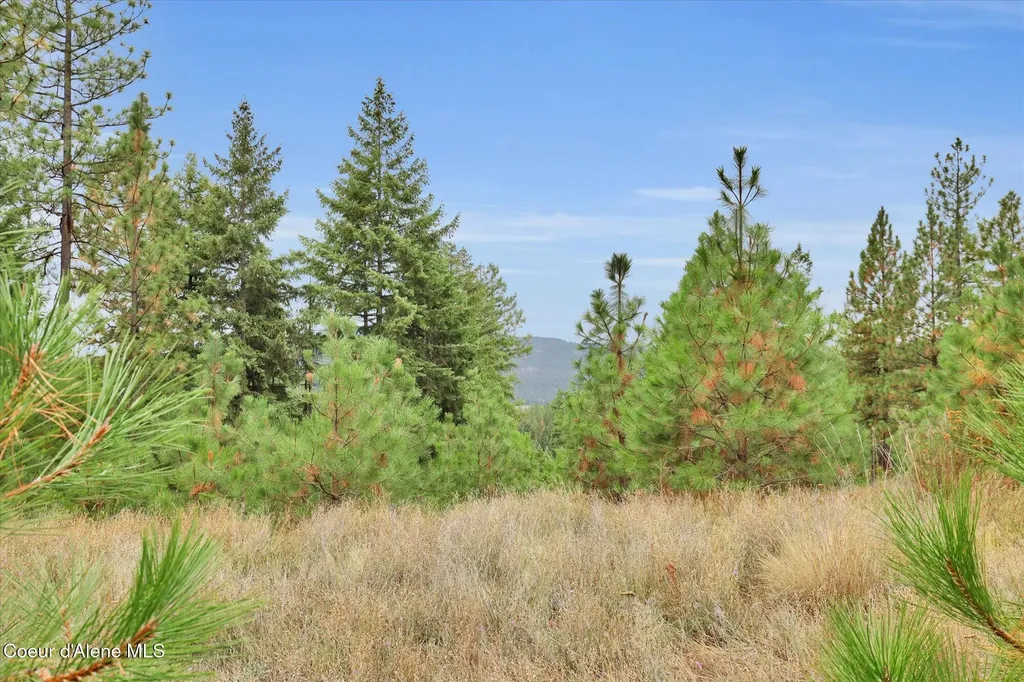 1571 Stone Road Blanchard ID 83804