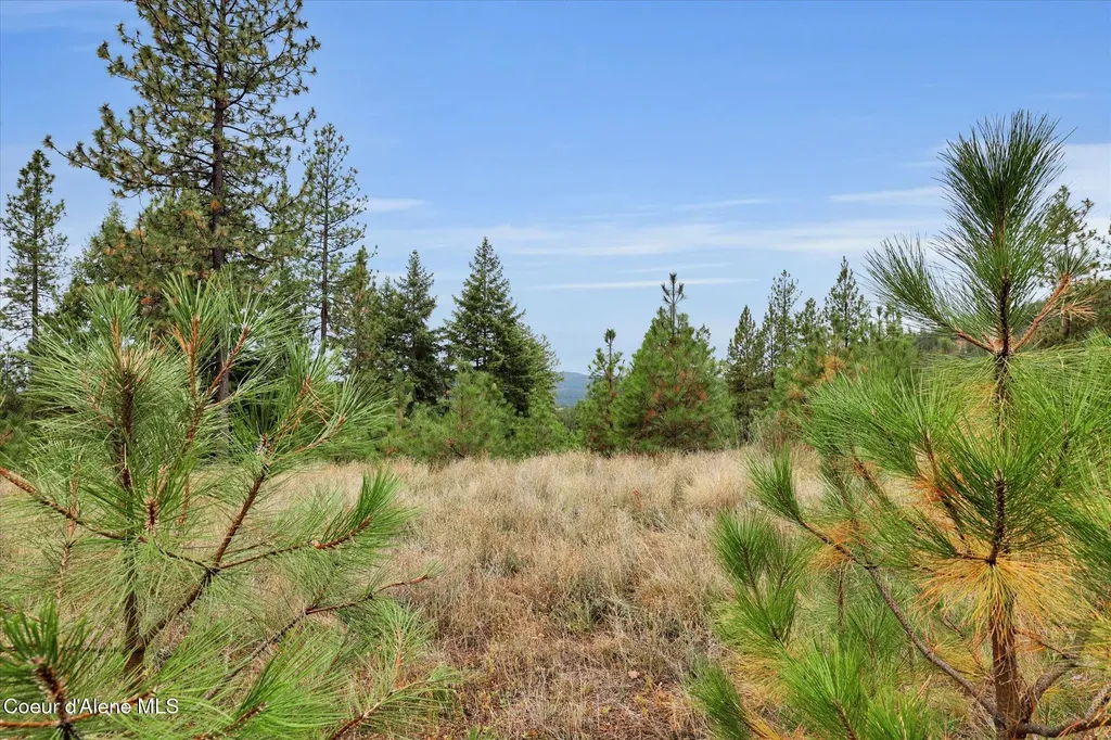1571 Stone Road Blanchard ID 83804