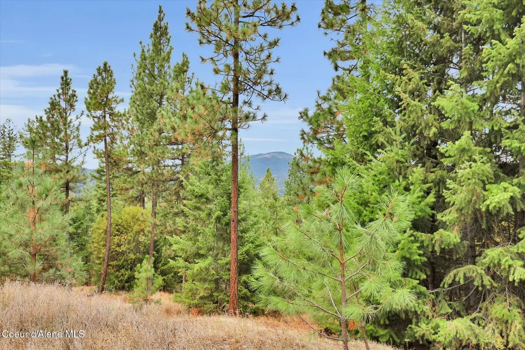1571 Stone Road Blanchard ID 83804
