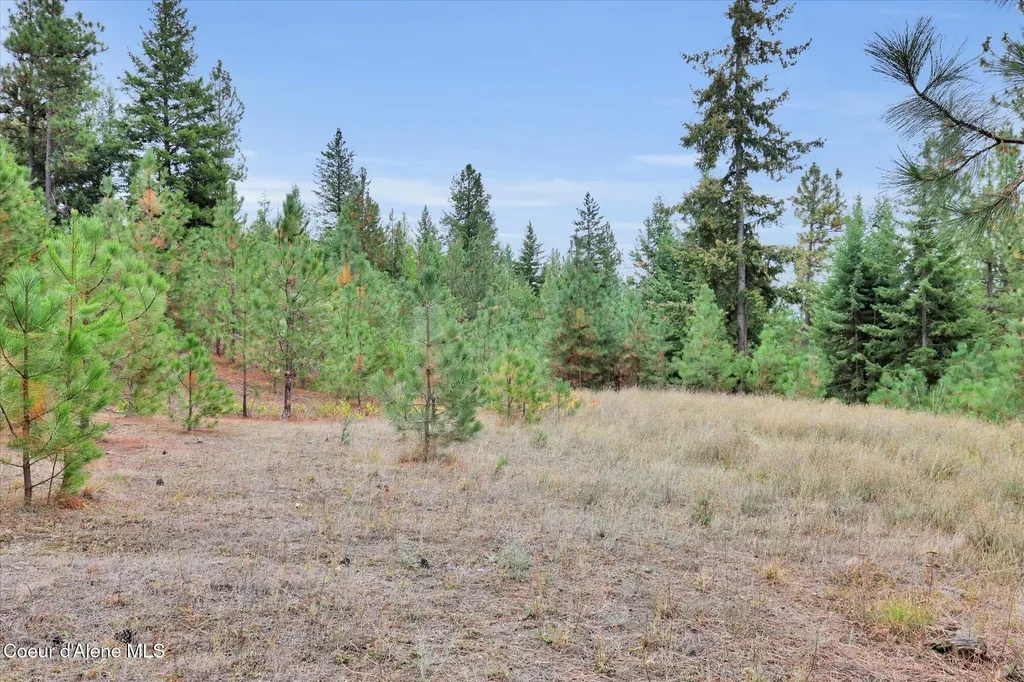 1571 Stone Road Blanchard ID 83804