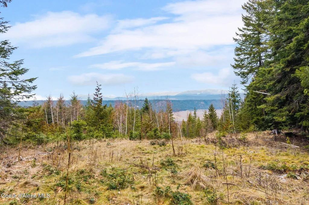 193 Cottage Lane Bonners Ferry ID 83805