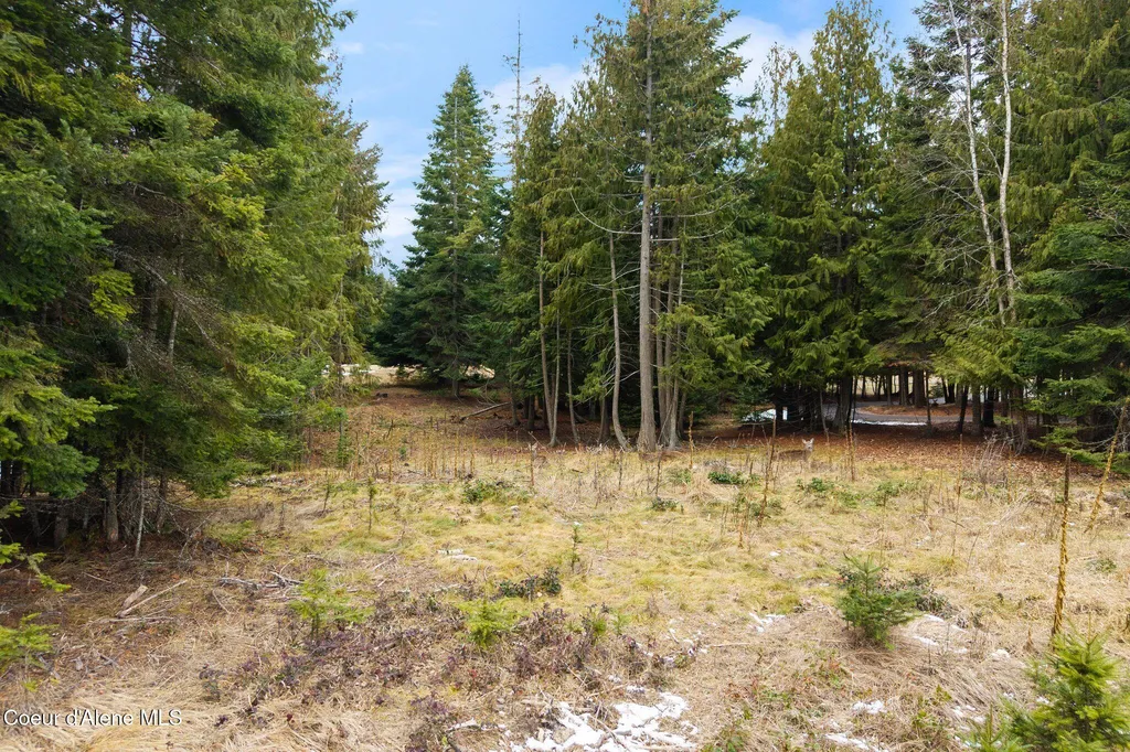 193 Cottage Lane Bonners Ferry ID 83805