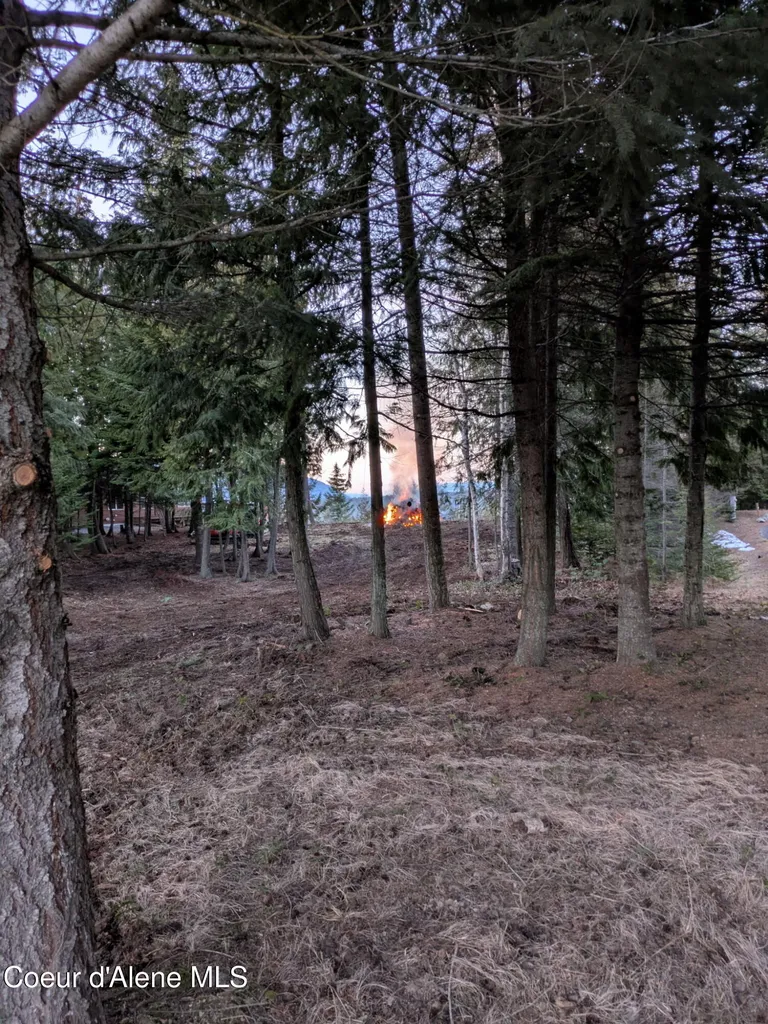 193 Cottage Lane Bonners Ferry ID 83805