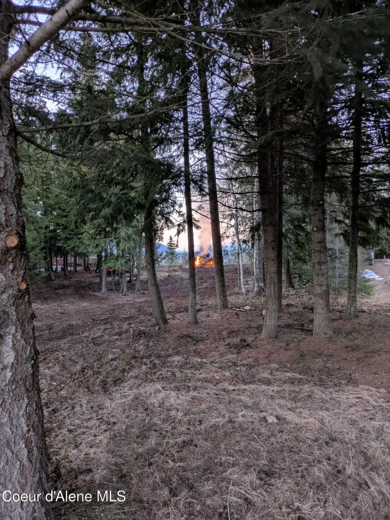 193 Cottage Lane Bonners Ferry ID 83805