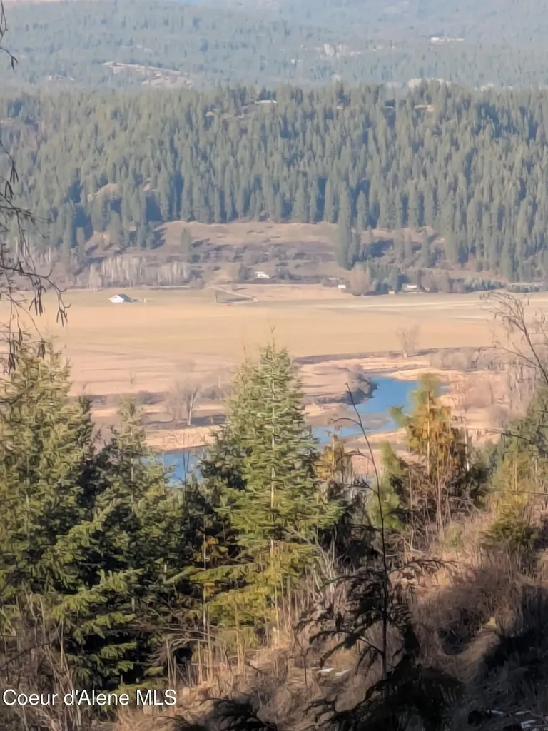 193 Cottage Lane Bonners Ferry ID 83805