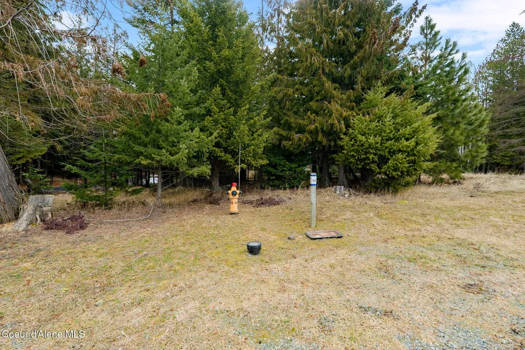 193 Cottage Lane Bonners Ferry ID 83805