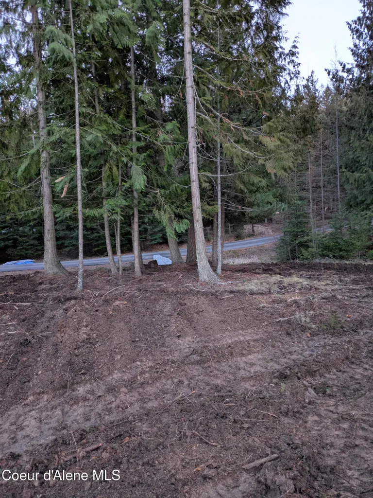 193 Cottage Lane Bonners Ferry ID 83805