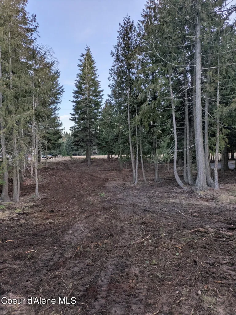 193 Cottage Lane Bonners Ferry ID 83805