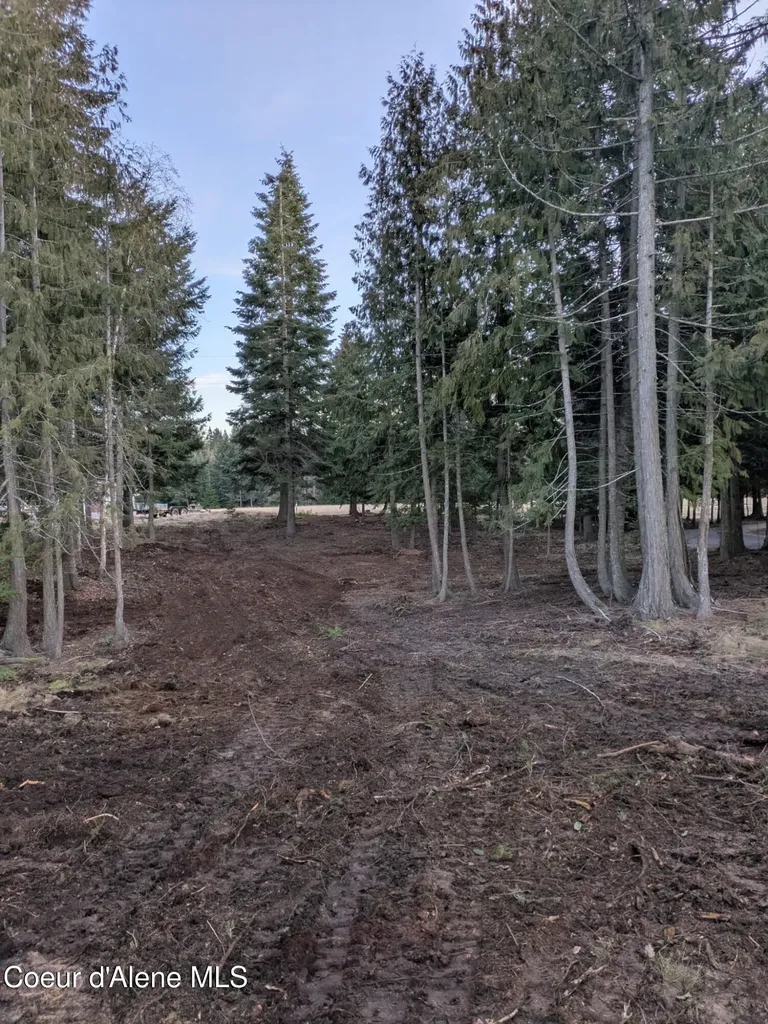 193 Cottage Lane Bonners Ferry ID 83805