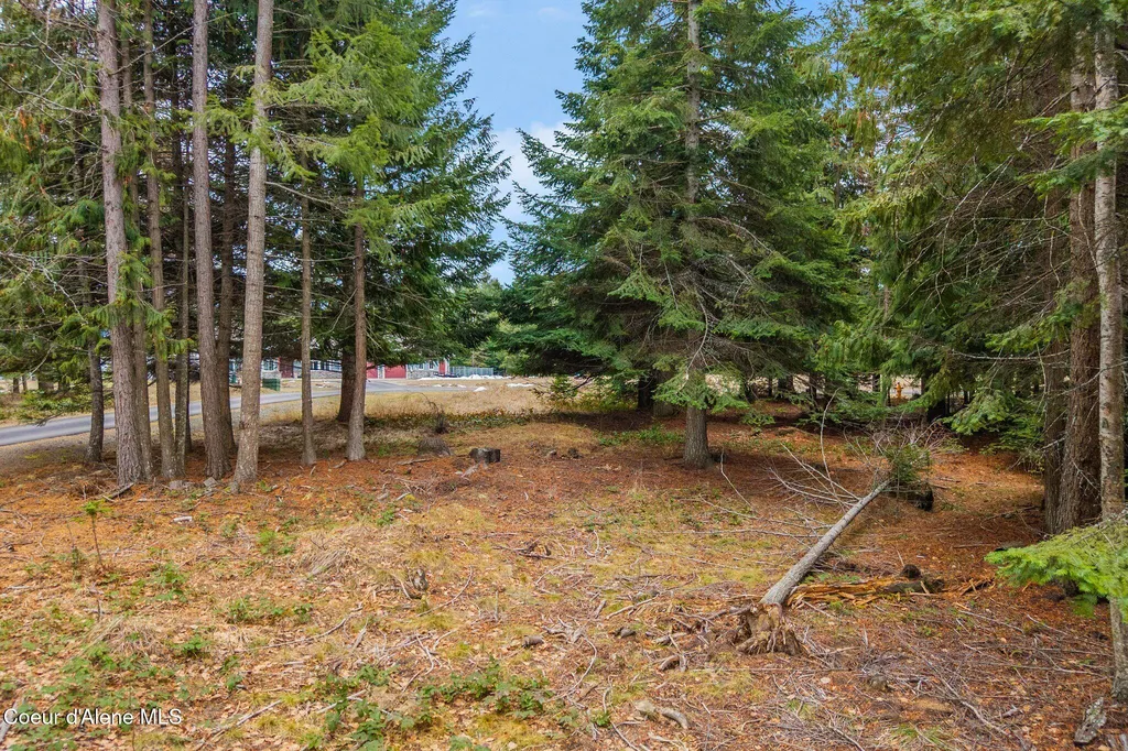 193 Cottage Lane Bonners Ferry ID 83805
