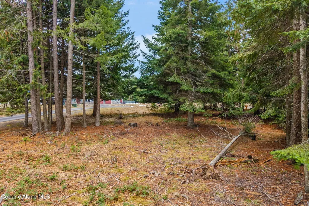 193 Cottage Lane Bonners Ferry ID 83805