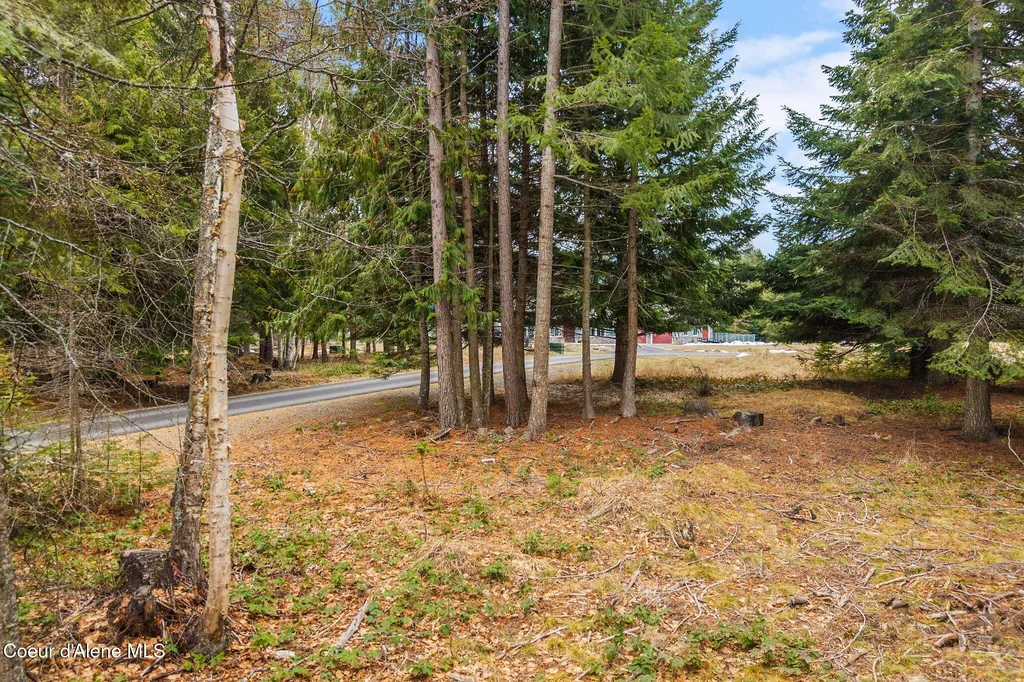 193 Cottage Lane Bonners Ferry ID 83805