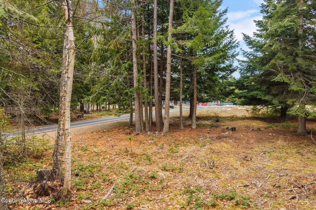 193 Cottage Lane Bonners Ferry ID 83805