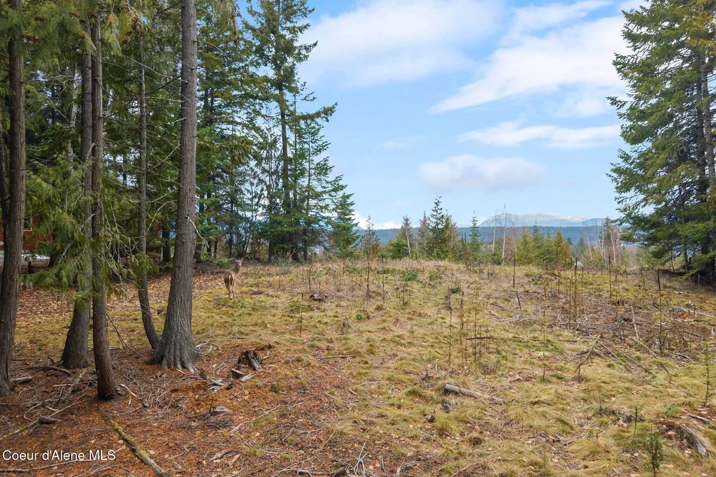 193 Cottage Lane Bonners Ferry ID 83805