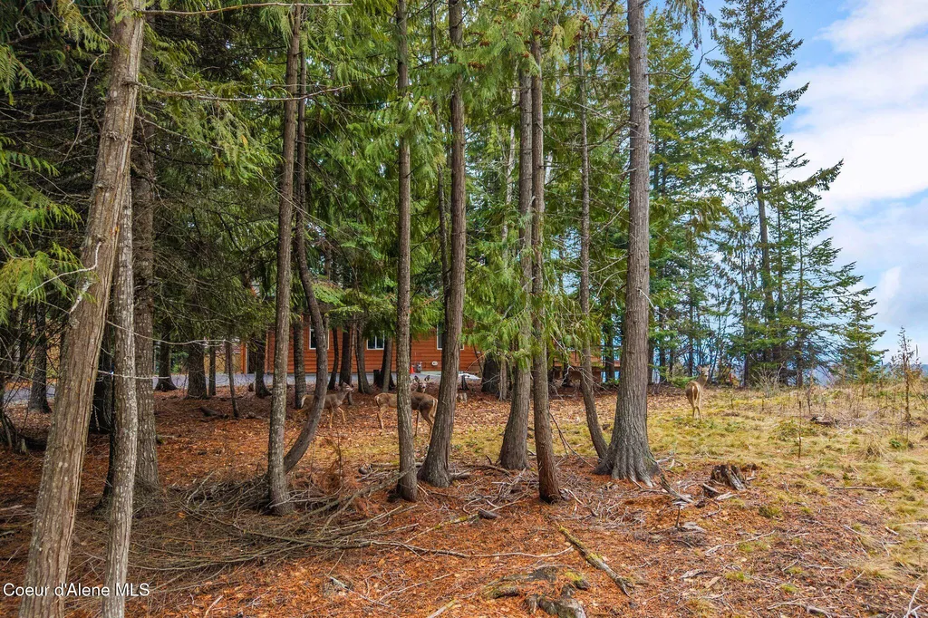 193 Cottage Lane Bonners Ferry ID 83805