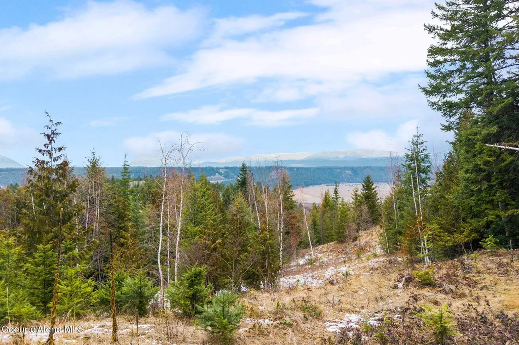 193 Cottage Lane Bonners Ferry ID 83805