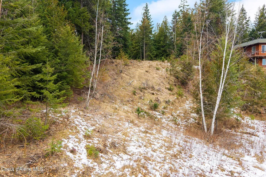 193 Cottage Lane Bonners Ferry ID 83805