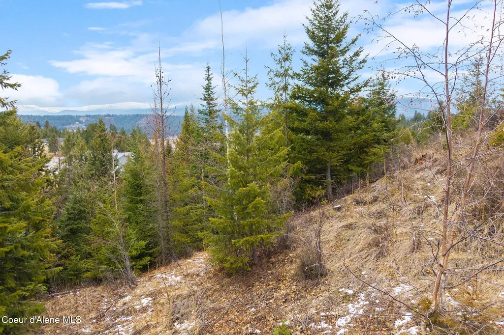 193 Cottage Lane Bonners Ferry ID 83805