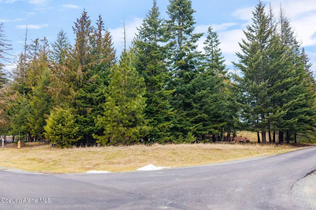 193 Cottage Lane Bonners Ferry ID 83805