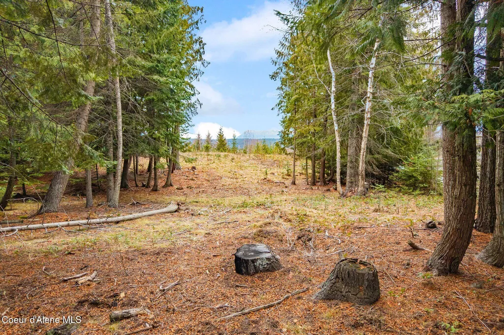 193 Cottage Lane Bonners Ferry ID 83805