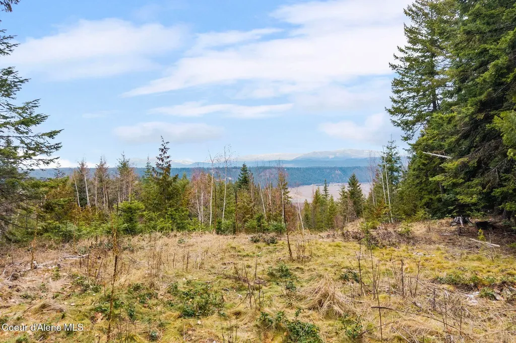 193 Cottage Lane Bonners Ferry ID 83805