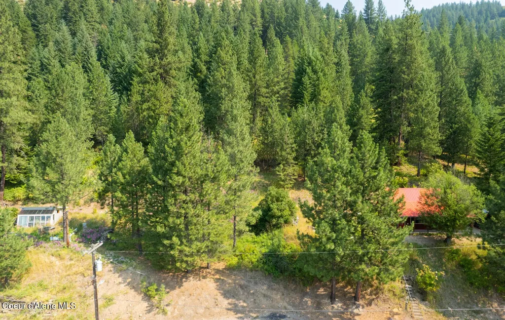 Lots 1, 2, 3 Pine Street Mullan ID 83846