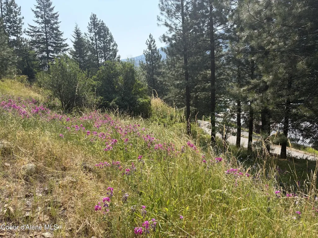 Lots 1-3 Pine Street Mullan ID 83846