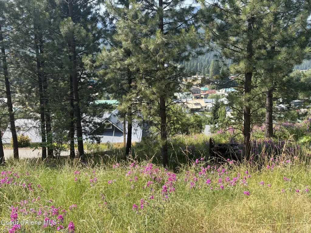 Lots 1-3 Pine Street Mullan ID 83846