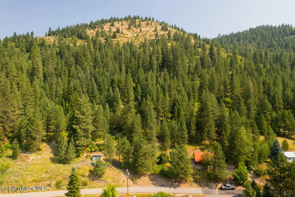 Lots 1, 2, 3 Pine Street Mullan ID 83846