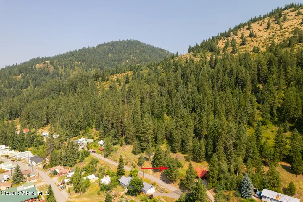Lots 1-3 Pine Street Mullan ID 83846