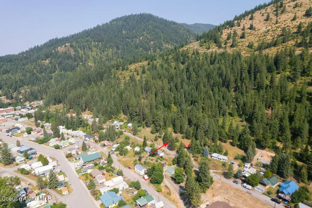 Lots 1, 2, 3 Pine Street Mullan ID 83846