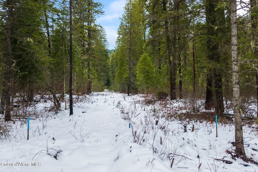 Parcel B Berry Canyon Road Sandpoint ID 83864