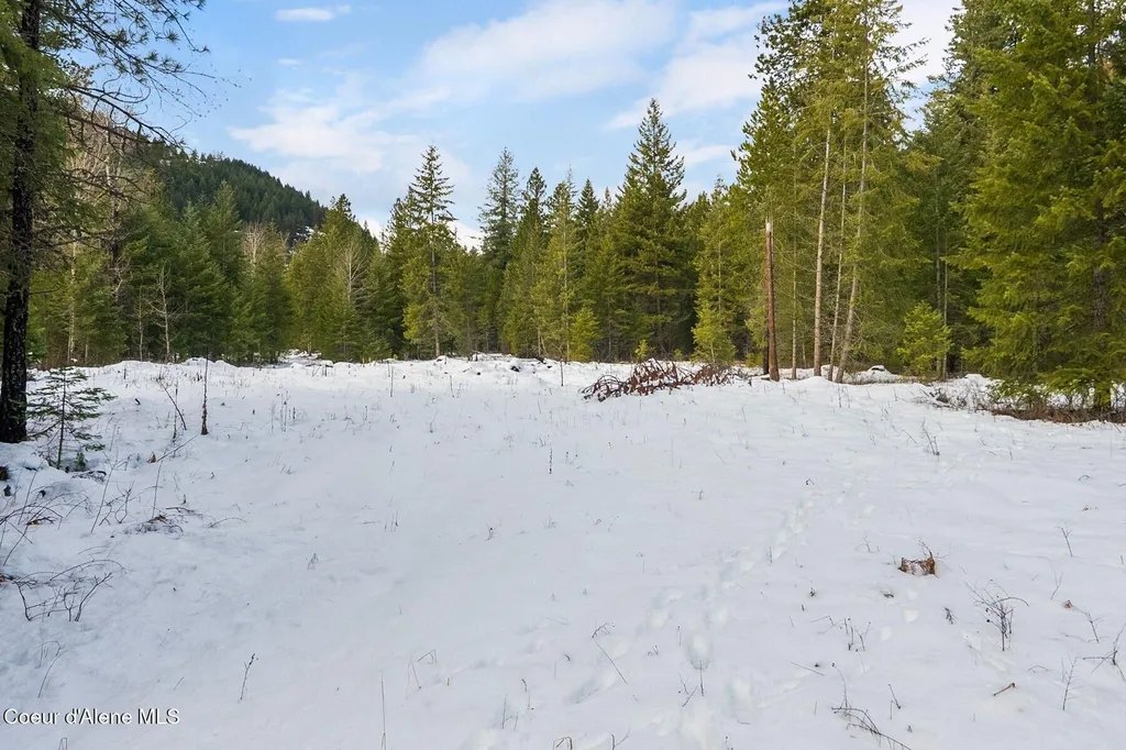 Parcel B Berry Canyon Road Sandpoint ID 83864