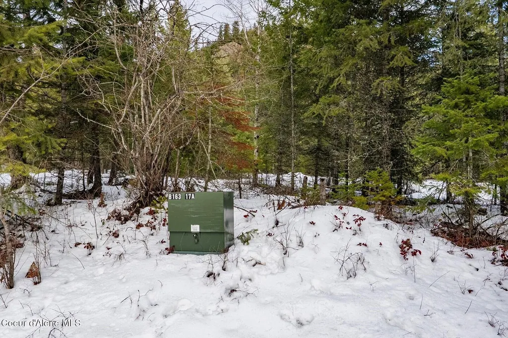 Parcel B Berry Canyon Road Sandpoint ID 83864