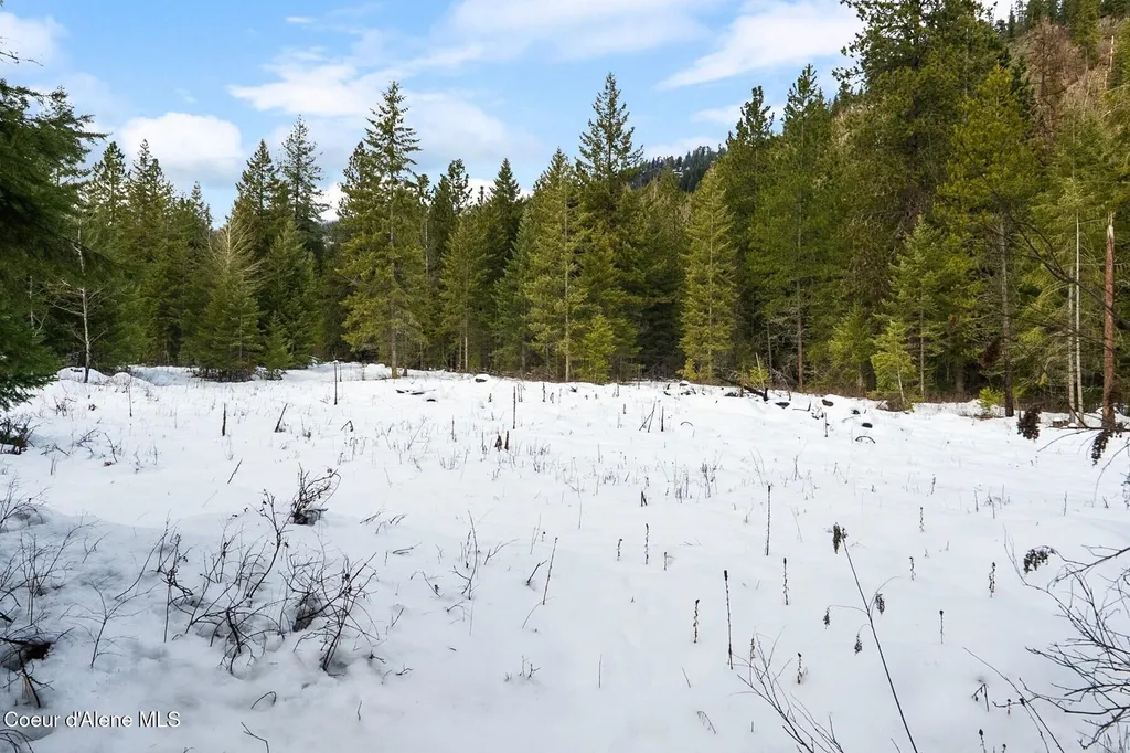 Parcel B Berry Canyon Road Sandpoint ID 83864