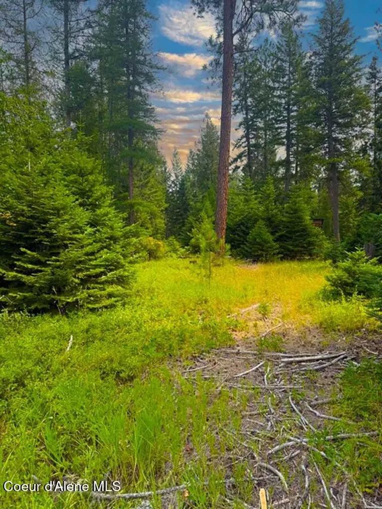 Nna Ginger Lane Bonners Ferry ID 83805
