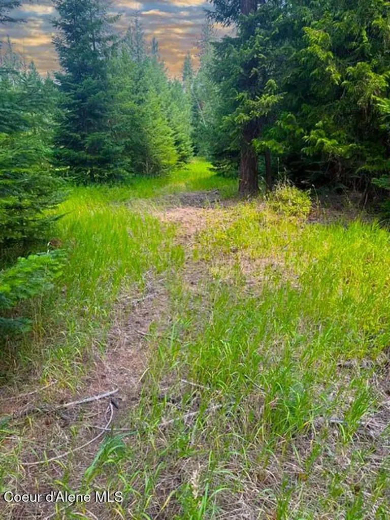 Nna Ginger Lane Bonners Ferry ID 83805