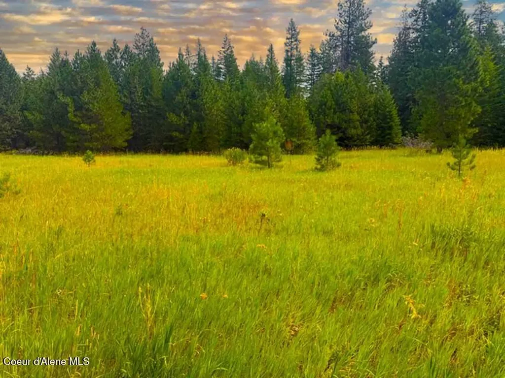 Nna Ginger Lane Bonners Ferry ID 83805