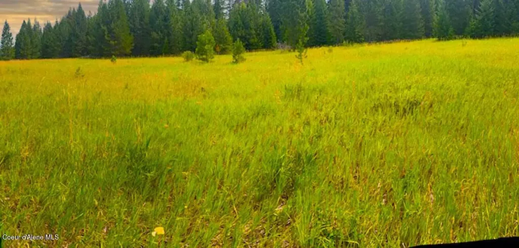 Nna Ginger Lane Bonners Ferry ID 83805