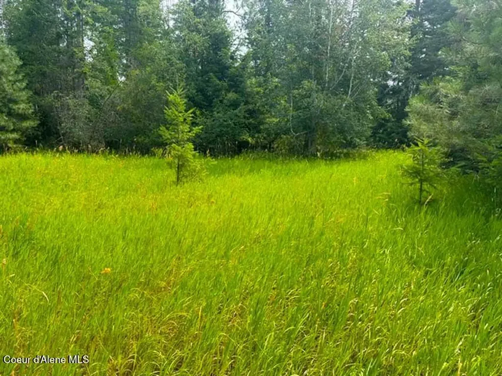 Nna Ginger Lane Bonners Ferry ID 83805