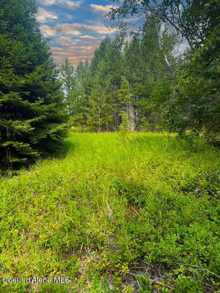 Nna Ginger Lane Bonners Ferry ID 83805