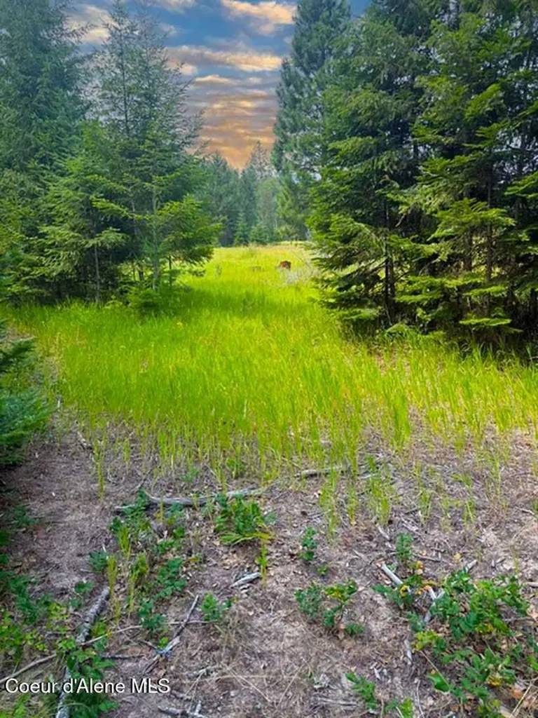 Nna Ginger Lane Bonners Ferry ID 83805