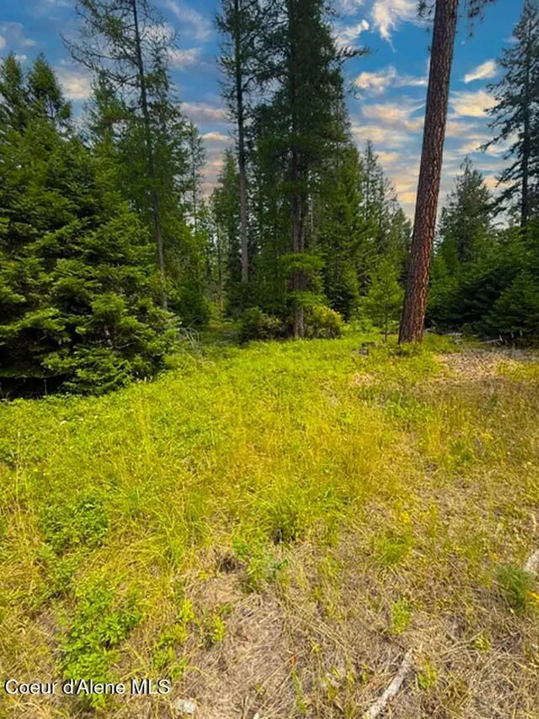 Nna Ginger Lane Bonners Ferry ID 83805