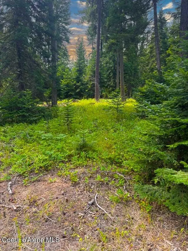 Nna Ginger Lane Bonners Ferry ID 83805