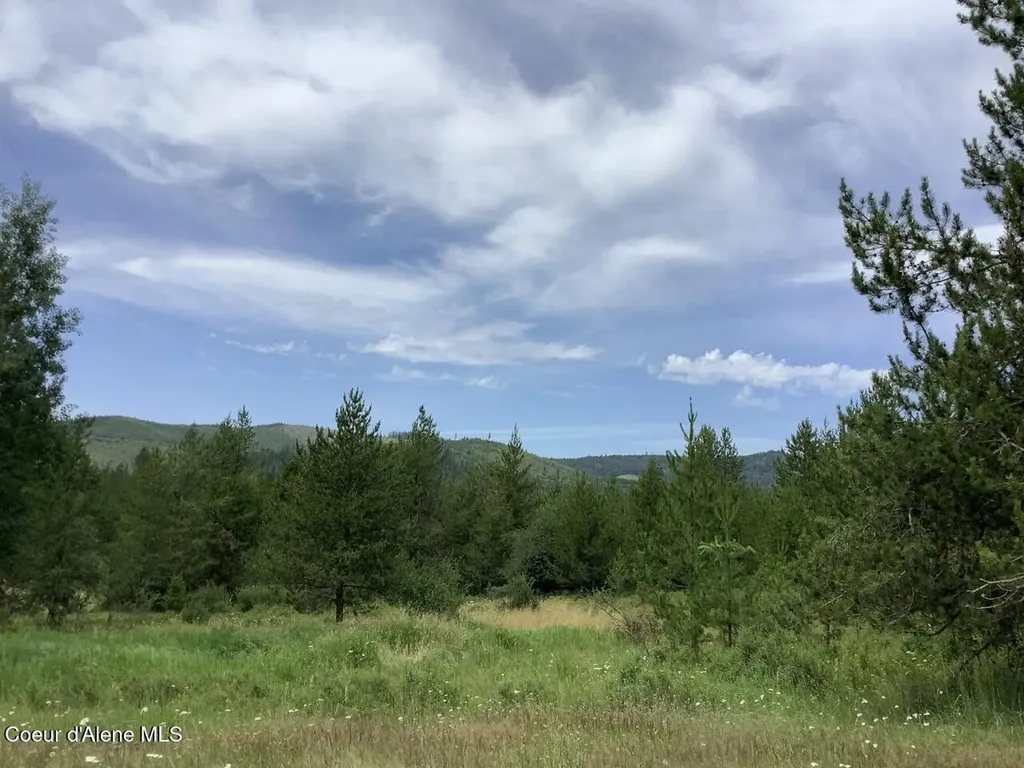6450 Alder Creek Road St. Maries ID 83861